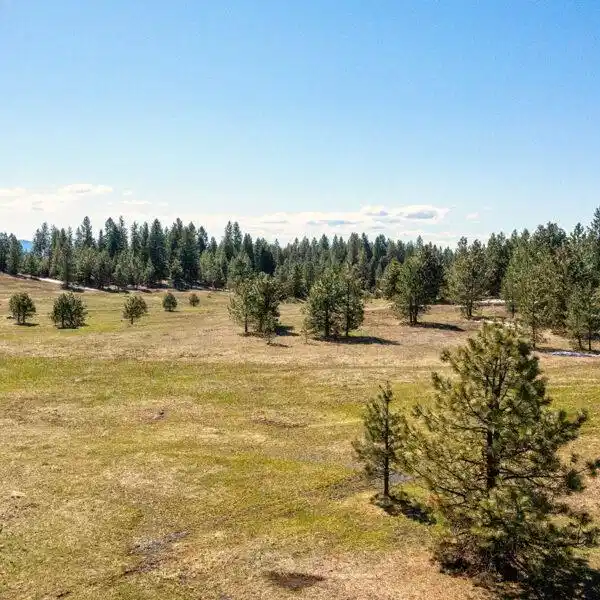 Image 1: Main View