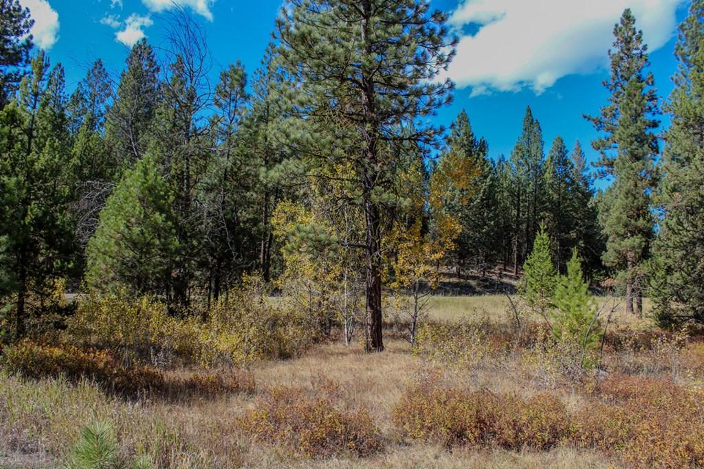 Image 2: Fall Colors Abound