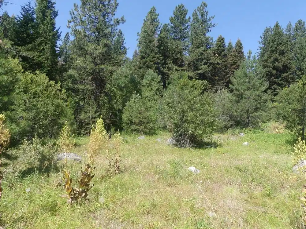 Image 1: Main View