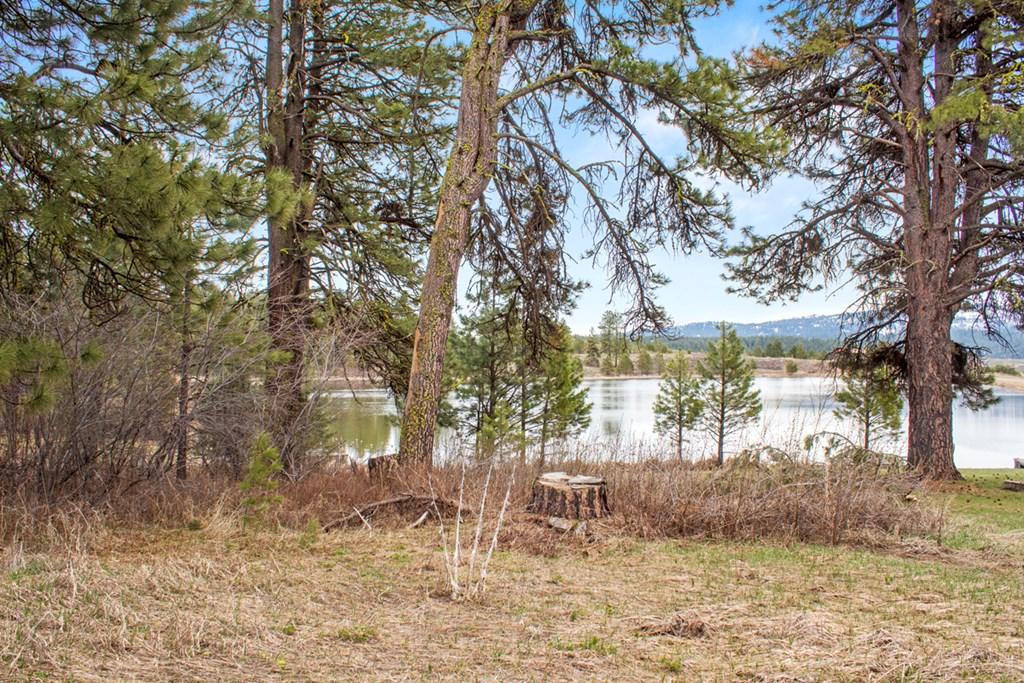 Image 3: View From Lot