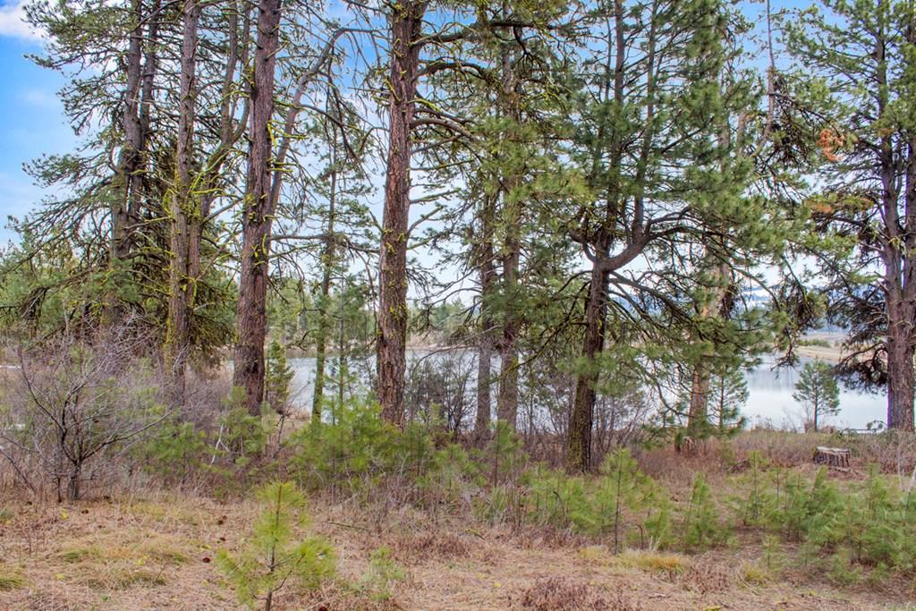 Image 4: Open & Wooded Lot
