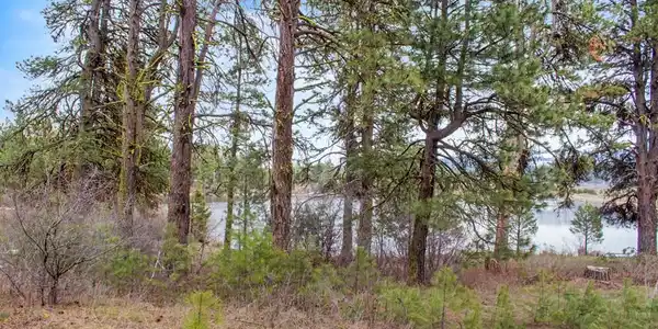 Image 4: Open & Wooded Lot
