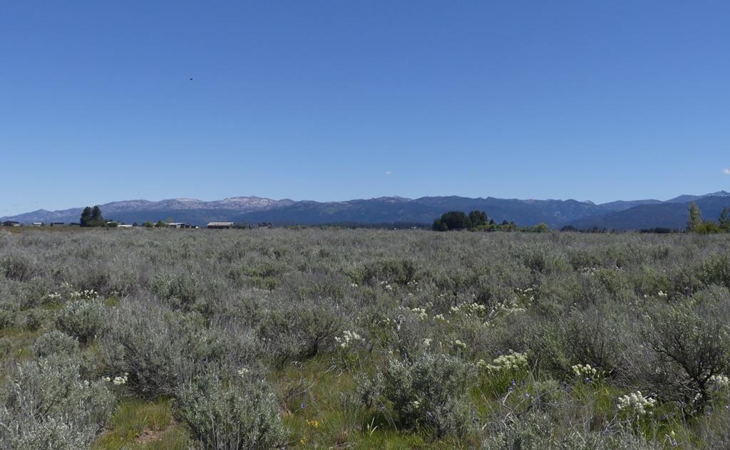 Image 1: Main View