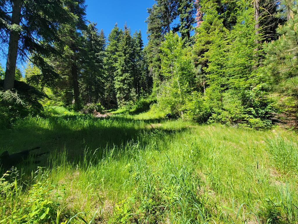 Image 2: 11.44 ACRES
