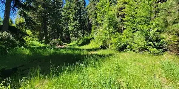 Image 2: 11.44 ACRES