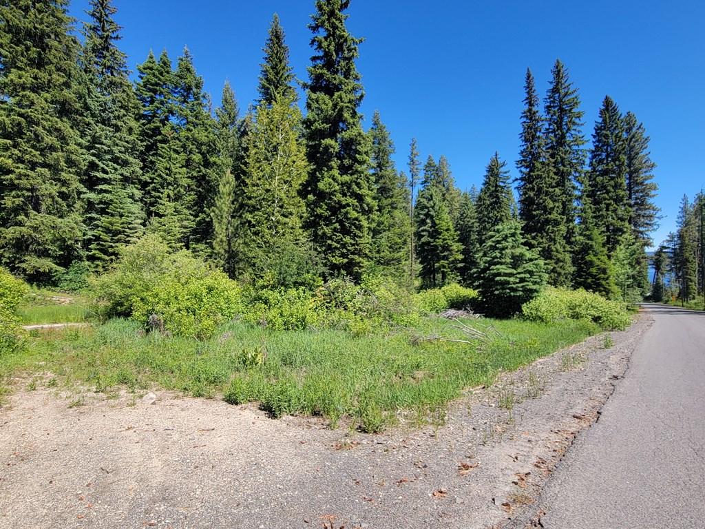 Image 3: On a paved road