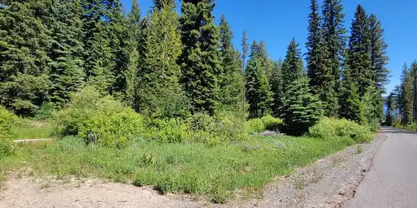 Image 3: On a paved road