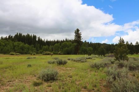 Lot 24 Targhee Court