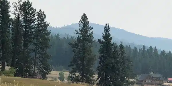 TBD Canyon Creek Way