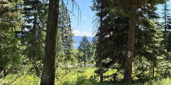 1610 Bear Trail Loop