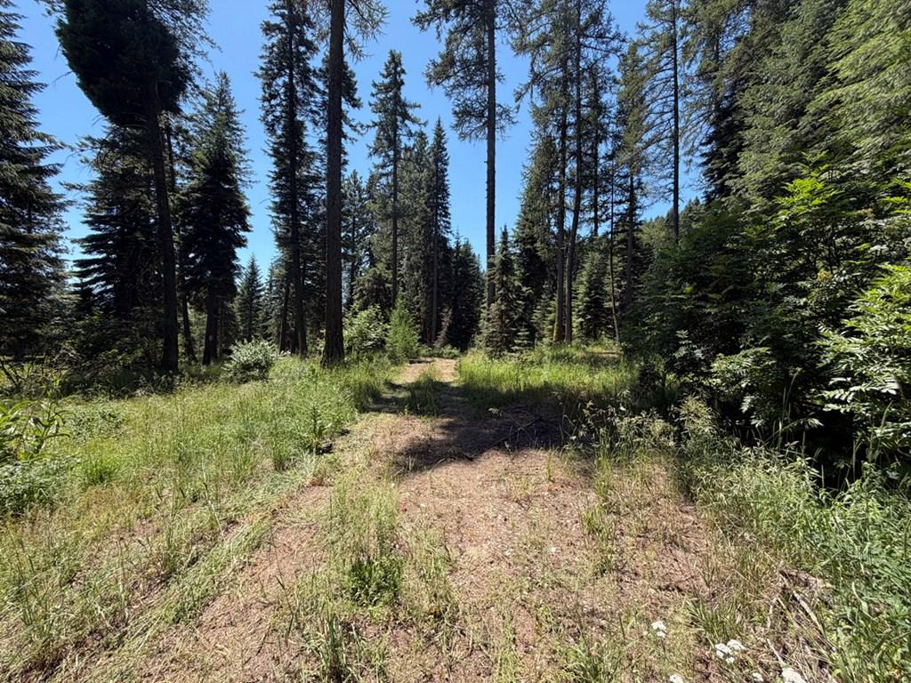 Image 2: Lots of Room for your RVs