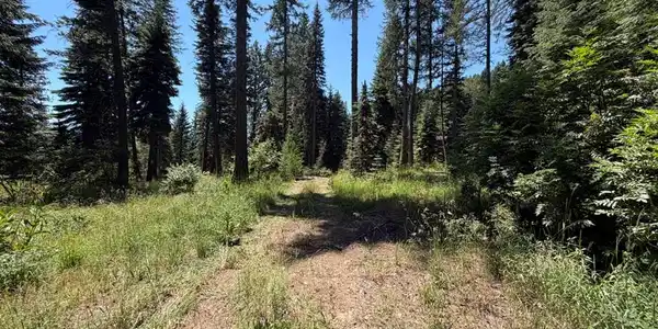 Image 2: Lots of Room for your RVs