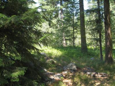 Lot #2 Knights Road
