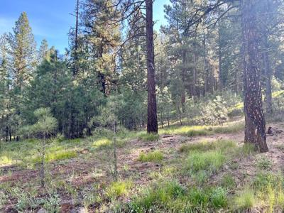 Lot 20 Meadow Drive