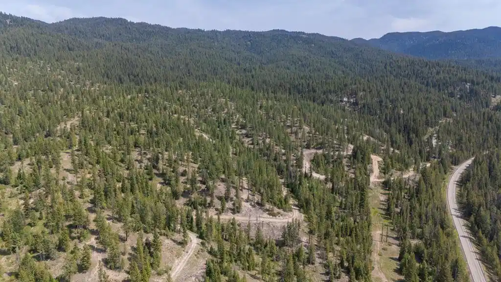 Image 1: Main View