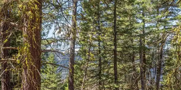 Image 2: Filtered Lake View