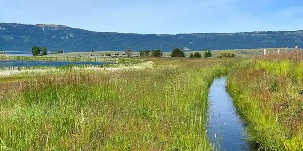 Image 3: Views of Pond on Neighboring Lot