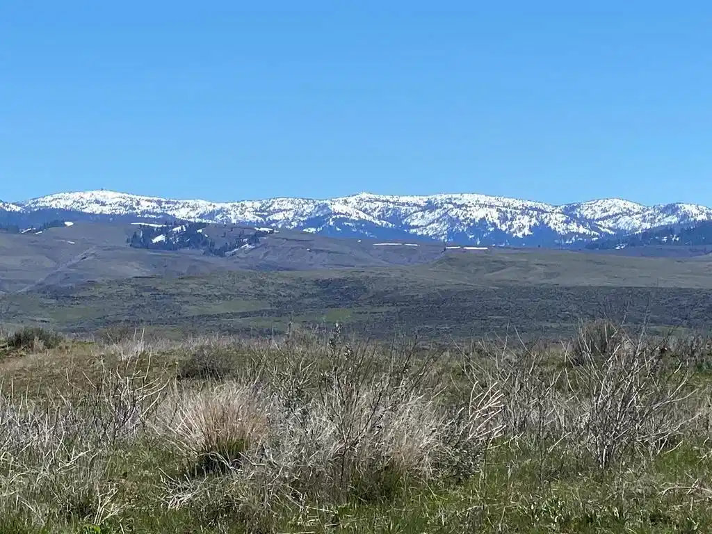Image 1: Main View