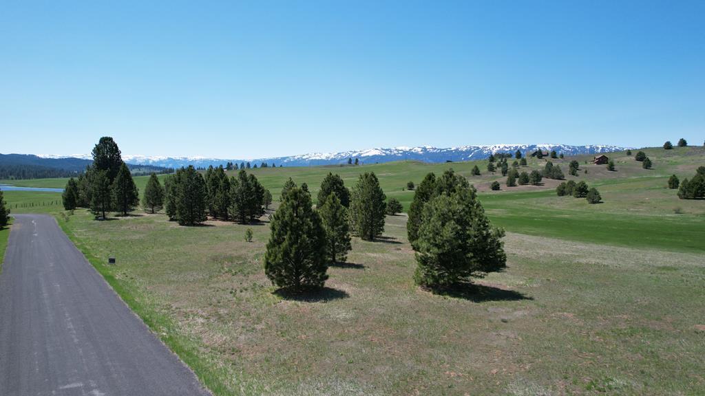 Image 1: Main View