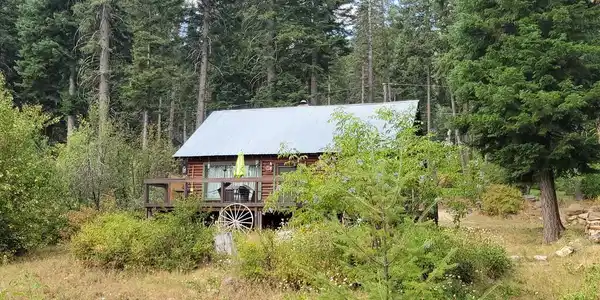 Image 2: CABIN IN THE WOODS