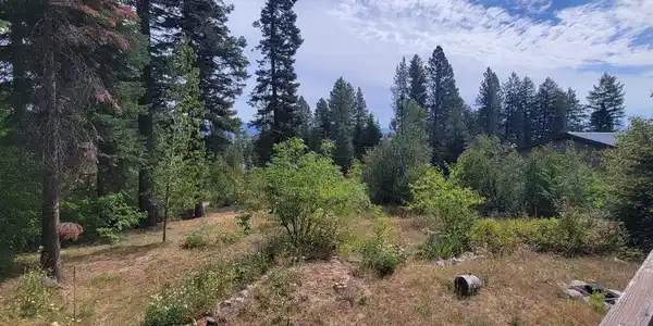 Image 4: PARTIAL LAKE CASCADE VIEWS