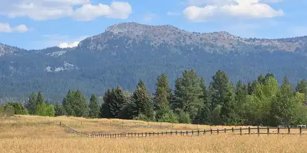 TBD Country Way
