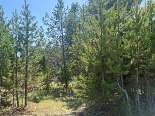 21 Grand Fir Drive