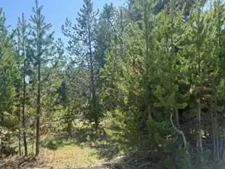 Image 1: Main View