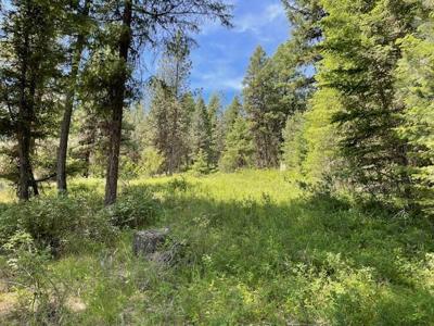 Lot 20 Little Salmon Road