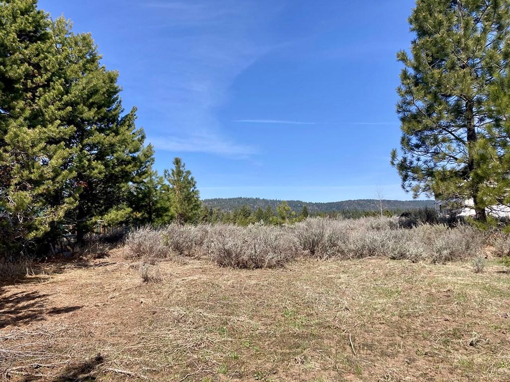 Image 3: Level building site