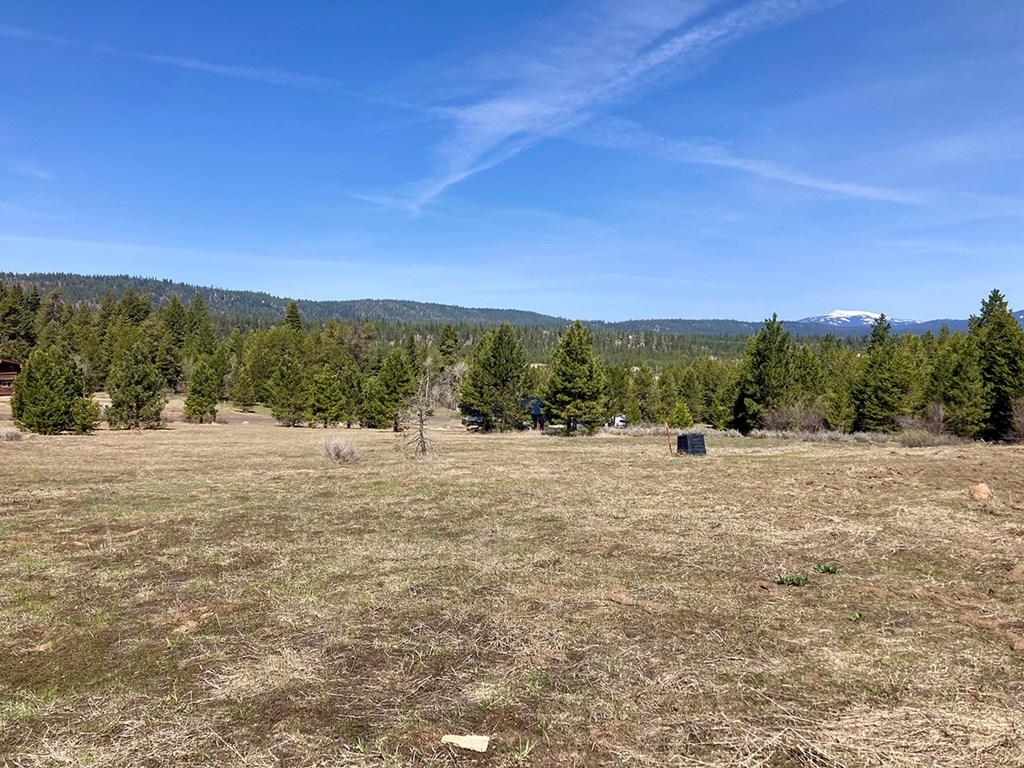 Image 4: Back yard view