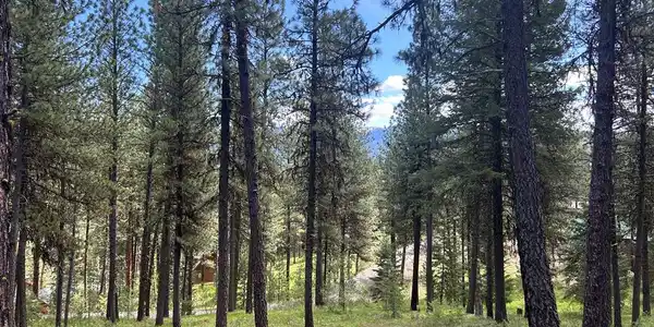 TBD Syringa Drive