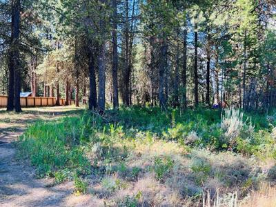 1909 Gold Dust Road