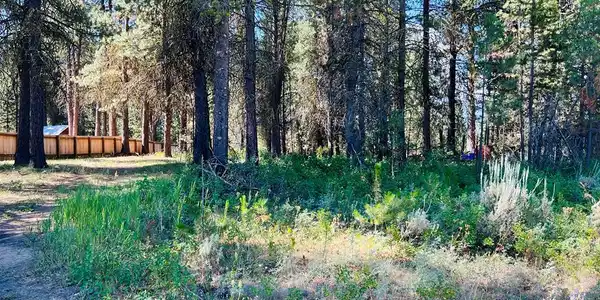 1909 Gold Dust Road