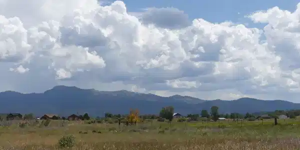 Lot 3 Springer Court