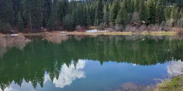 TBD Peaceful Pines Road