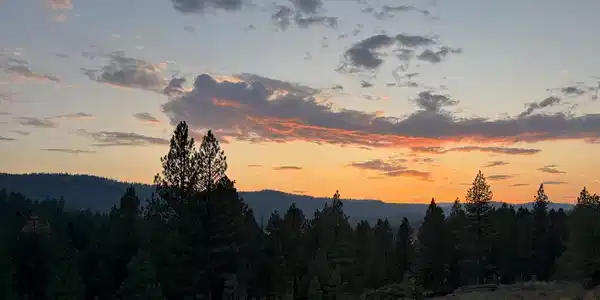 B1 L3 Tamarack View Drive