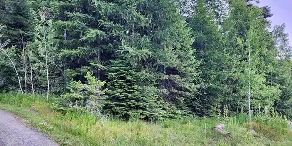 Image 4: Sloped, Steep & Wooded Terrain