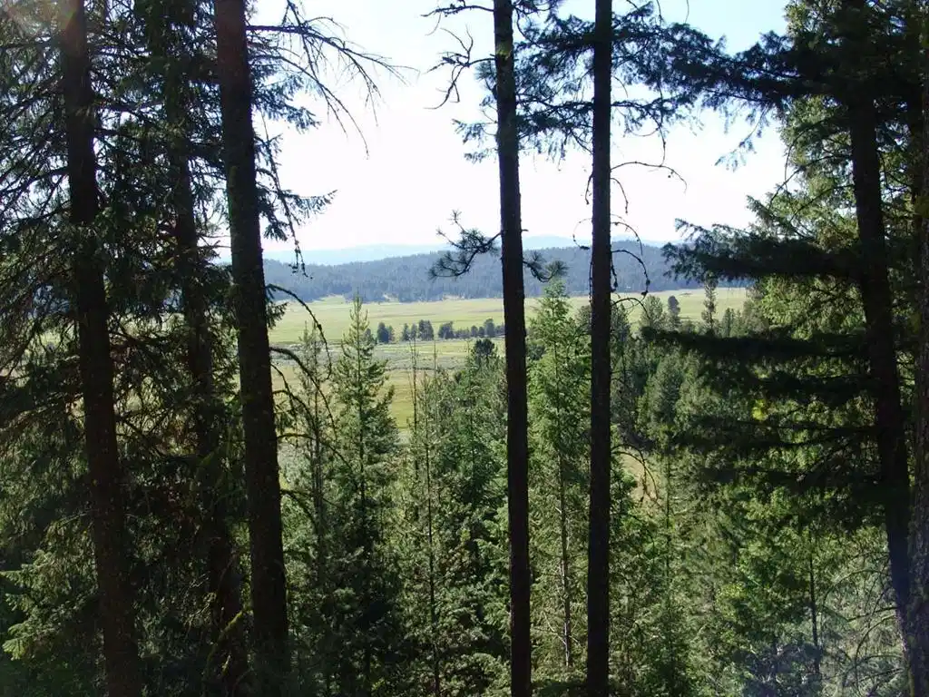 Image 1: Main View