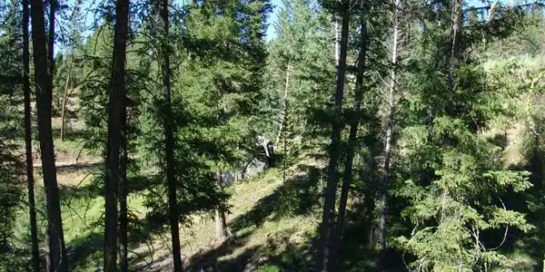 Image 4: Nicely Wooded