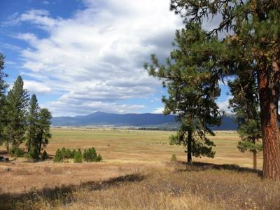 Lot 24 Timber Ridge Drive