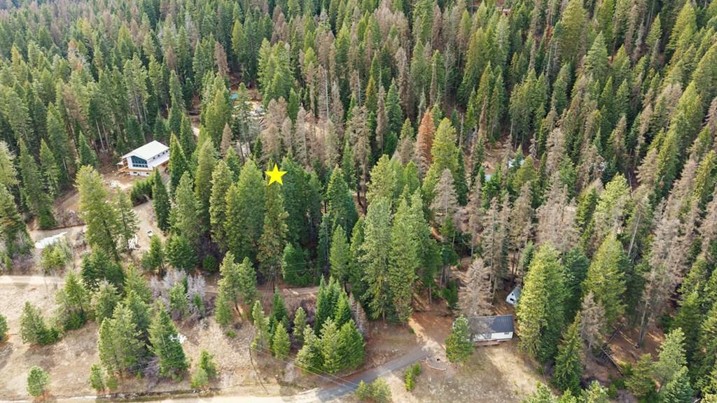 Image 3: Property from Above