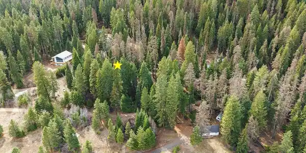 Image 3: Property from Above