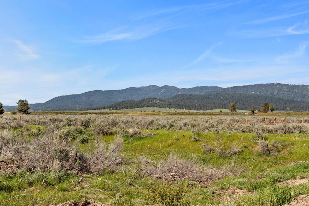 Image 2: View Looking to the Northeast