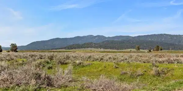 Image 2: View Looking to the Northeast