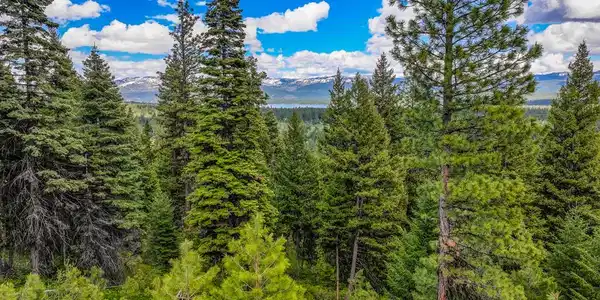 532 Osprey View Drive