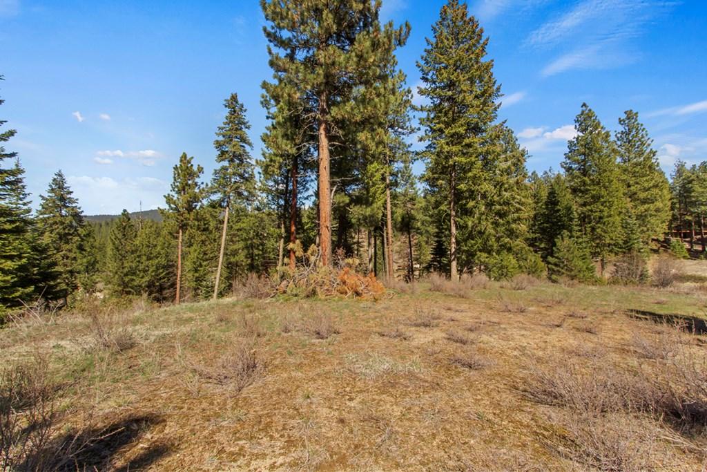 Image 2: Nice Cleared Area