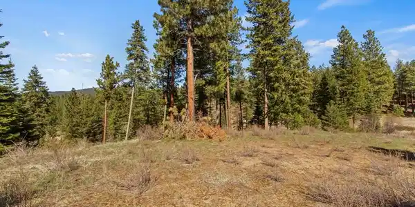 Image 2: Nice Cleared Area