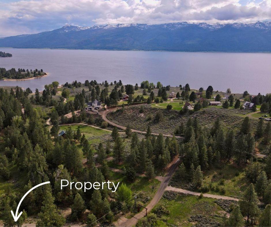 Image 2: Near Shores of Lake Cascade