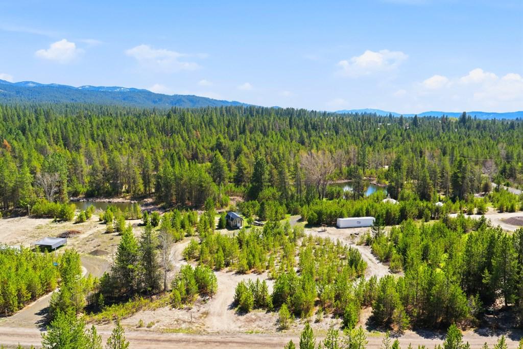Image 3: Camp or Build